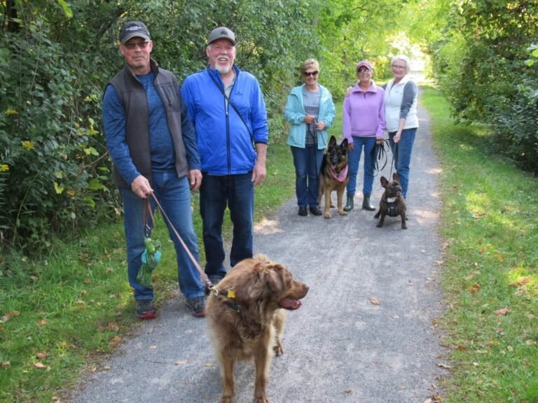 Lynn Valley Trail Support