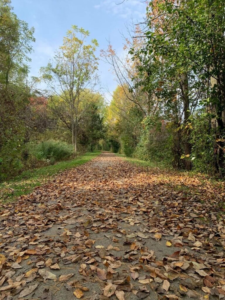 Lynn Valley Trail in fall