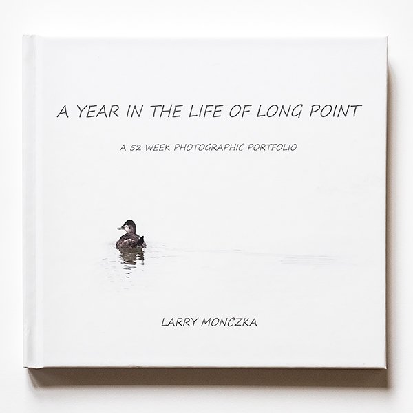 Local Photographers Inspire