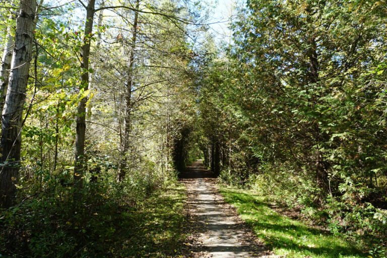 Lynn Valley Trail