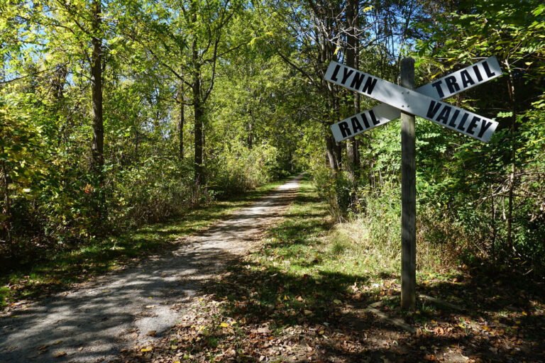 Lynn Valley Trail