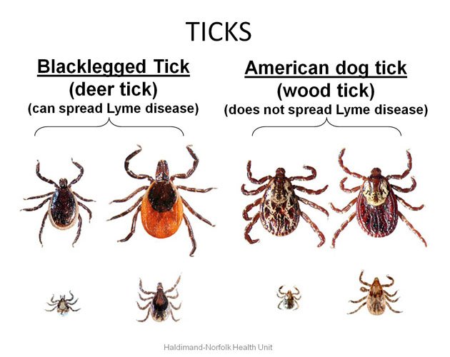 Tick difference